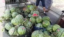 淄博吃瓜爆料事件视频