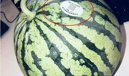 海外吃瓜网红,揭秘娱乐圈背后的秘密与真相